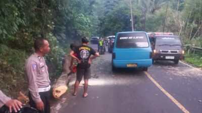 Personel Polsek Tomohon Utara Gerak Cepat Tanggapi Bencana Pohon Tumbang Timpa Kendaraan