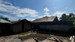 IMG 20250724 WA0053 1