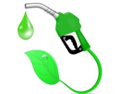 Menuju Era B50: Akselerasi Biodiesel dan Pengembangan Ekonomi Berkelanjutan di Indonesia