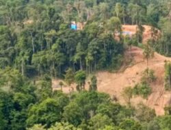 PETI di Boltim: Ekosistem dan Perkebunan Terus Merusak, Masyarakat Minta Tindakan Tegas