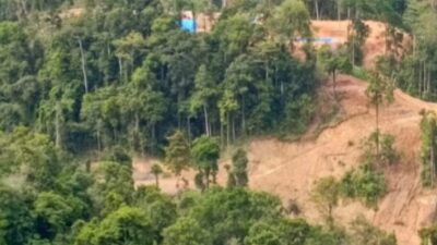 Screenshot 20251211 114334 Chrome