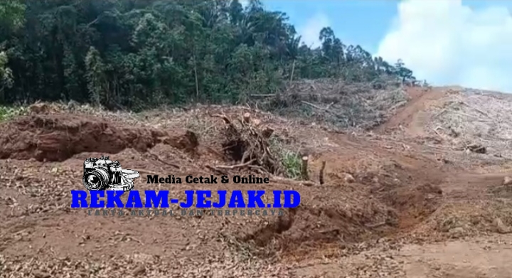 FunPic 20260420 091909043