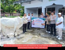 Wujud Kepedulian, Kapolres Minahasa Selatan AKBP David Babega Serahkan Hewan Kurban, Murni Dari Sumbangan Anggota