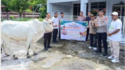 Wujud Kepedulian, Kapolres Minahasa Selatan AKBP David Babega Serahkan Hewan Kurban, Murni Dari Sumbangan Anggota 4 IMG 20260527 WA0140