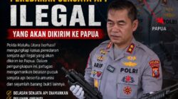 Polda Maluku Utara Bongkar Jaringan Peredaran Senjata Api, Hendak Diselundupkan Menuju Papua