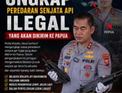 Polda Maluku Utara Bongkar Jaringan Peredaran Senjata Api, Hendak Diselundupkan Menuju Papua