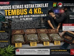 Modus Kemas Kotak Cokelat Tembus 4 Kg, Polda Metro Jaya Bekuk Pengedar Ganja di Palmerah
